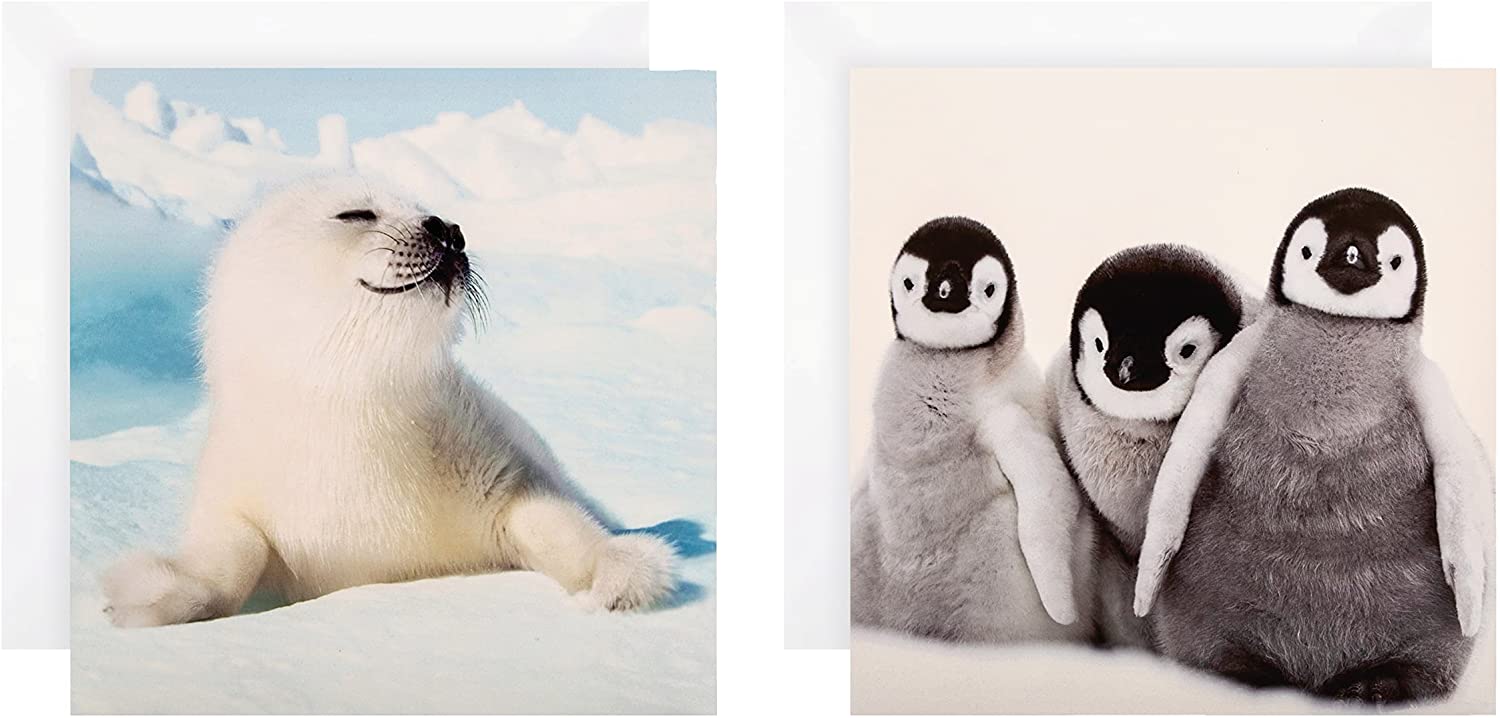 Hallmark Charity Christmas Cards 10 Cards in 2 Polar Animals Photographic Designs RRP 3.31 CLEARANCE XL 1.99